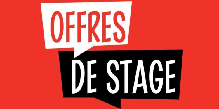Le cabinet Mentor Auréole recrute 02 Stagiaires Chargé de clientèle et Webmaster (H/F).